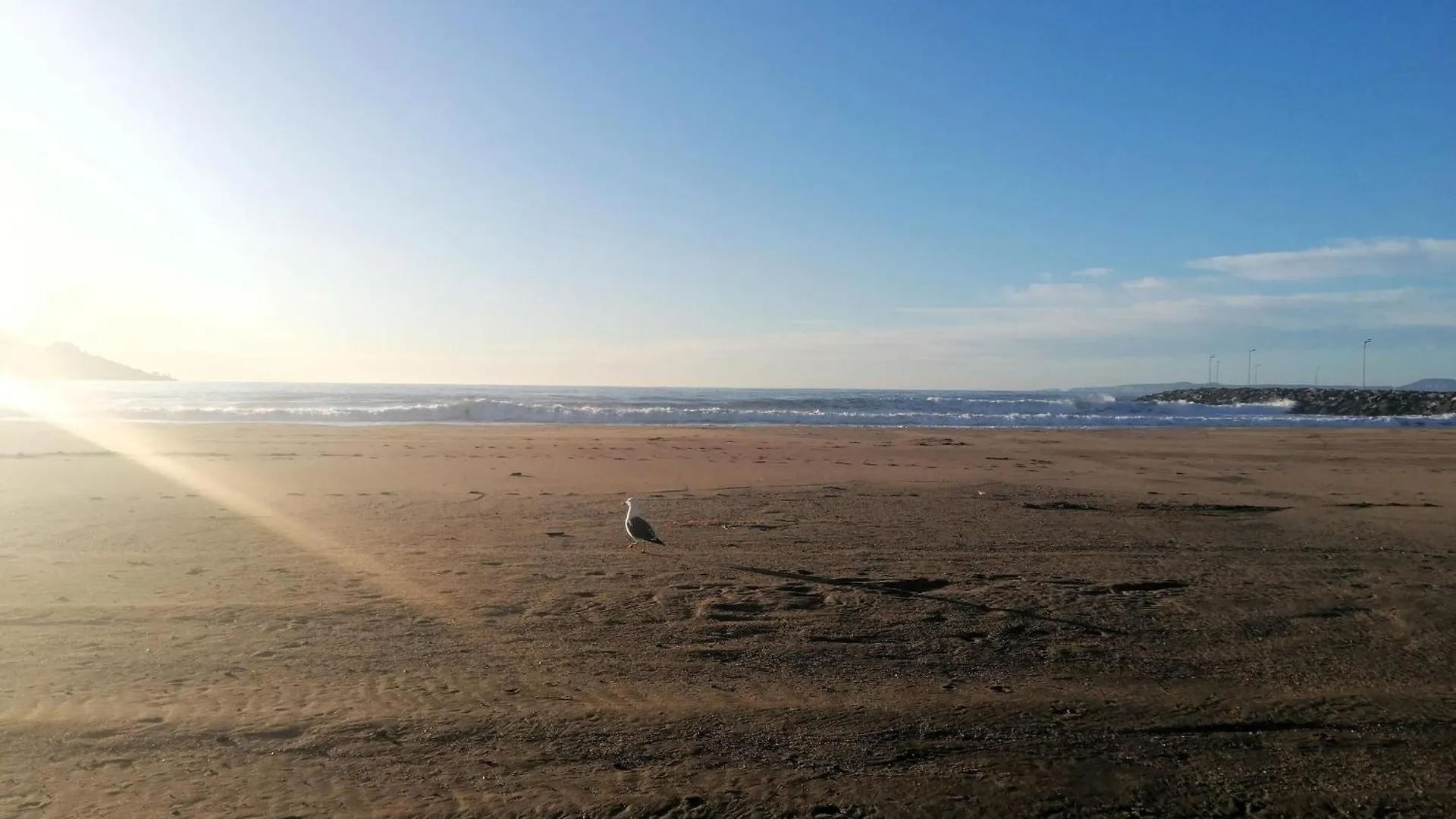 3390 Maritim B 1-A. A Primera Linea De Mar, En Corazon Mismo De Roses A Tocar De La Playa - Es-258-147 0*,